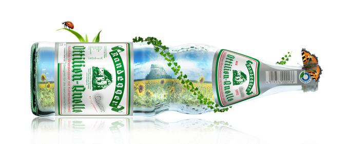 Randegger Flasche mit Efeu, Marienkäfer und Schmetterling